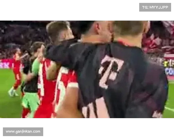 拜仁演绎经典逆转，球迷激情四溢