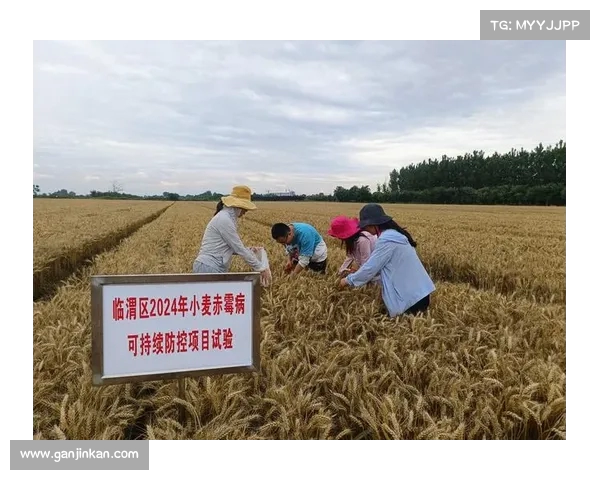 河南小麦亩产遭遇批评：网友直言“没这产量去哪里领补贴”？(河南小麦亩产记录)