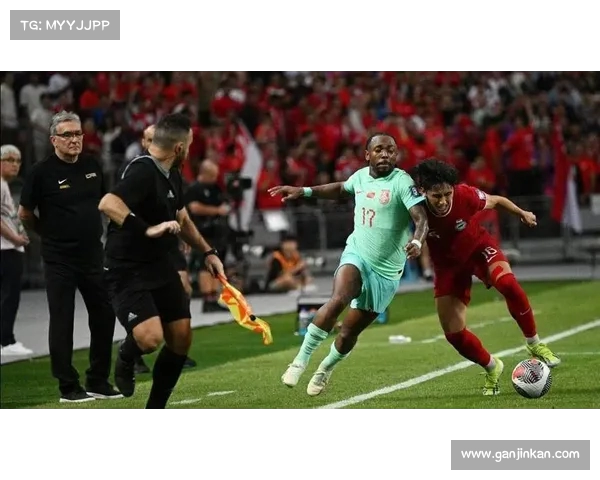 费南多续约难题曝光：泰山队背后的“白眼狼”真相揭露！(费南多集锦)