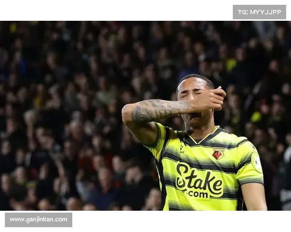 曼城-战胜沃特福德，登顶英超